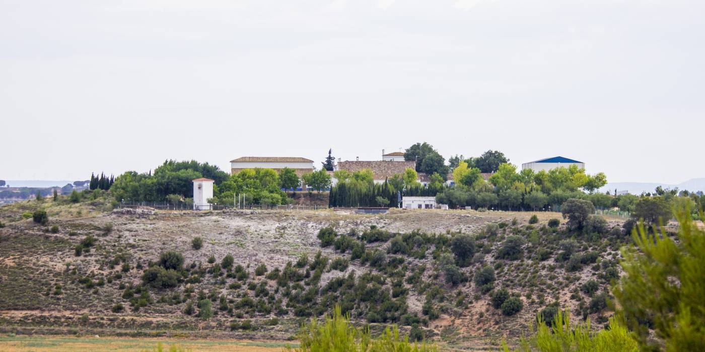 El Molar visto desde la rambla de iniesta (CU).