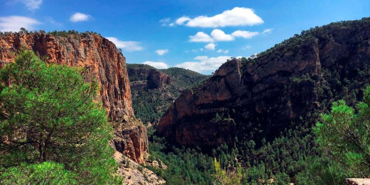 Viñedos y paisaje de La Manchuela en otoño, con cepas y cielo azul