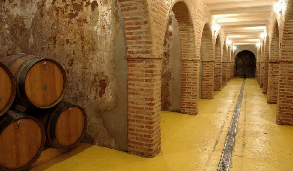 Degustación en el Museo Villavid & Reserva de la Biosfera Valle del Cabriel - Imagen 13