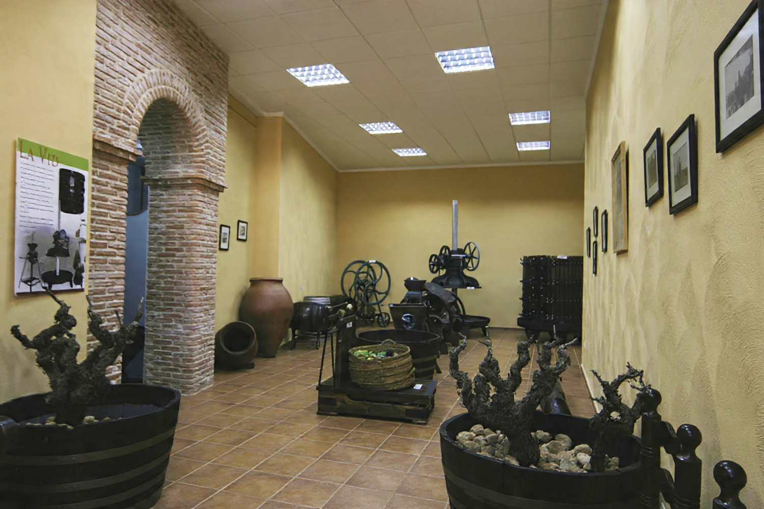 Degustación en el Museo Villavid & Reserva de la Biosfera Valle del Cabriel - Imagen 9