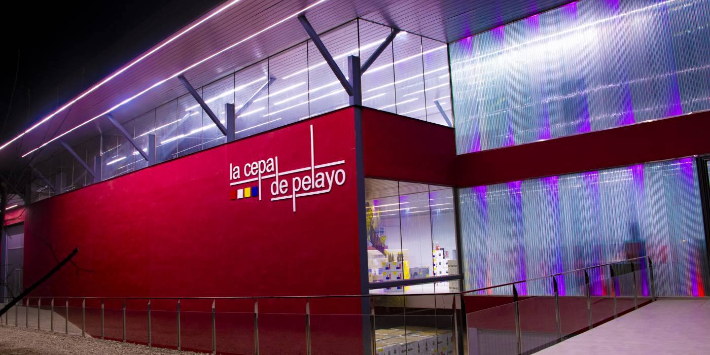 cepa pelayo