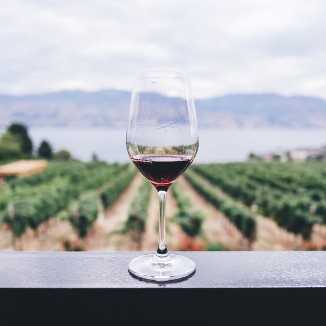ruta-del-vino-650x650