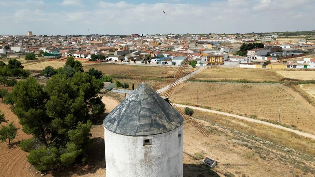 ledaña